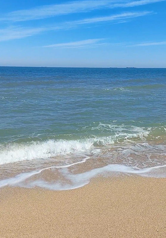 Screenshot_20240330_162358_Gallery