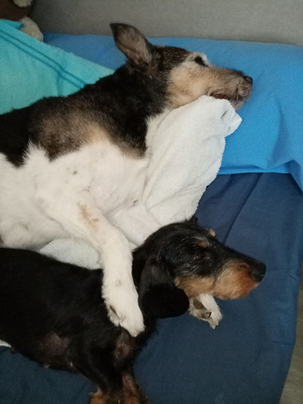 [Image: image000000-300.jpg]