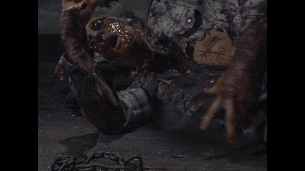 Ver Evil Dead 1981 Online Castellano