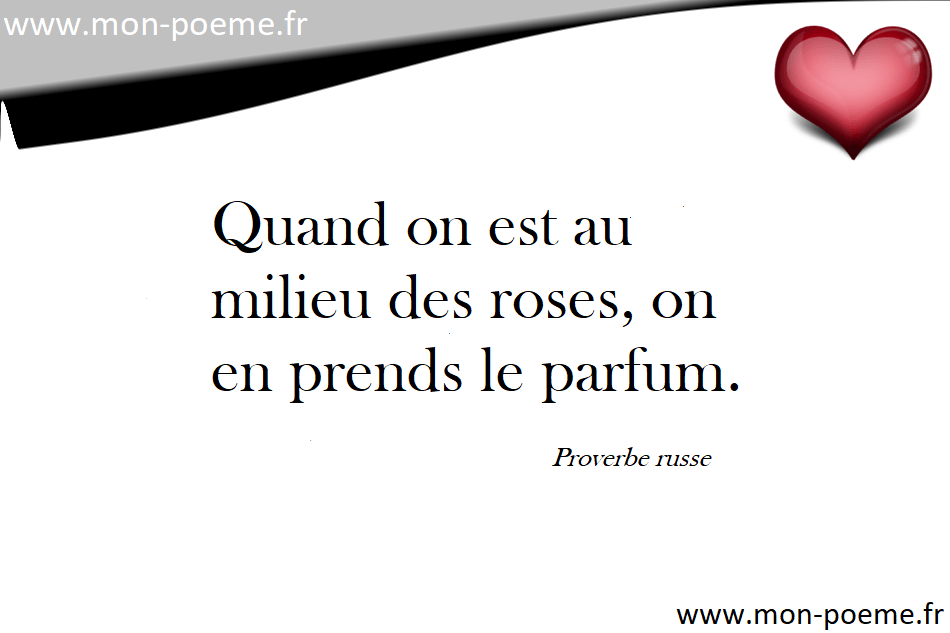 les-plus-beaux-proverbes-russes.png