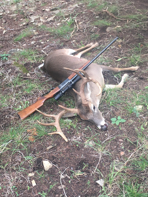 3B96B3F0-FB45-4AF9-9413-6D29D5AFA45E