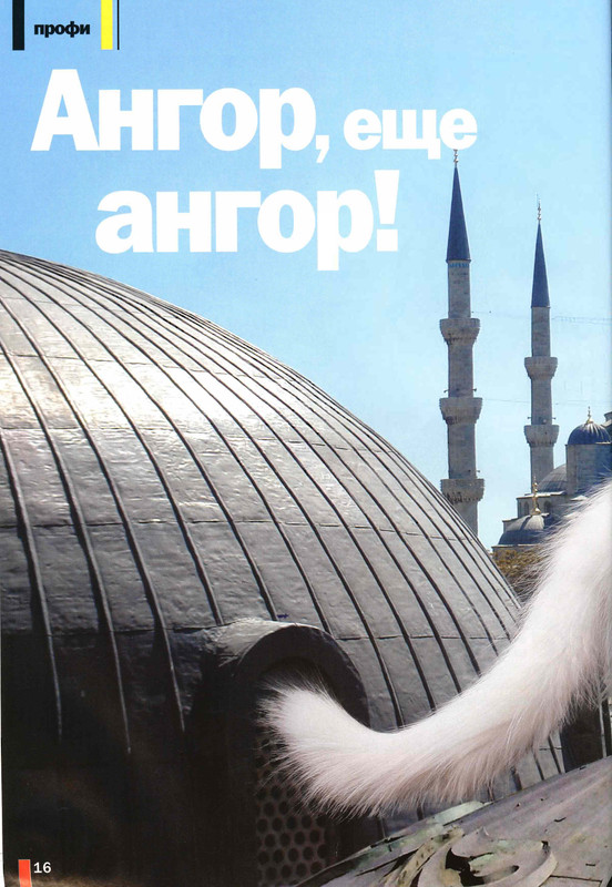 Друг кошек № 8 2009-16