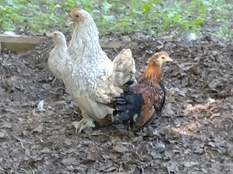 tipun kuvia 2020 (8)