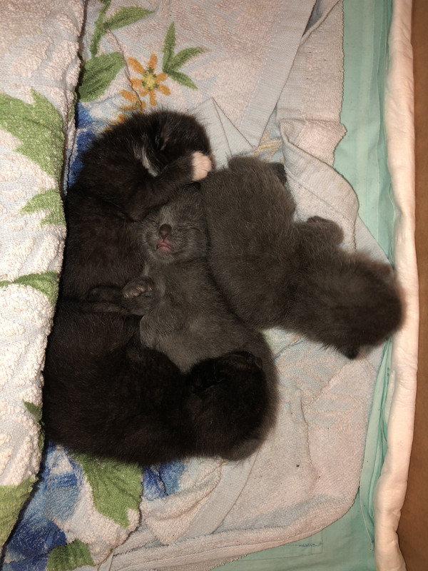 149B9AB3-10AE-4E06-838C-477892E1F58F