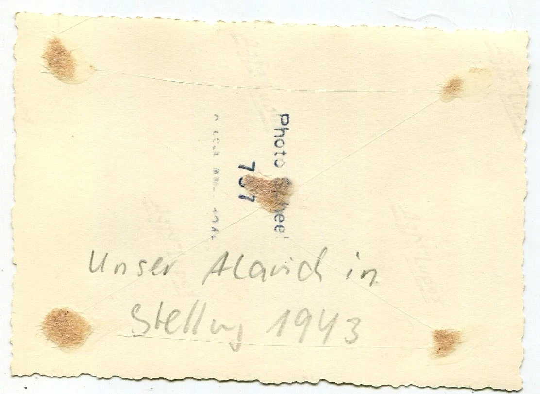 Foto 3 schwere Deutsche HUMMEL Panzer Sf L Haubitze ALARICH an der Front 1943 1766812578434