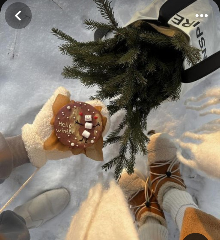 Screenshot_20231118_154624_Pinterest