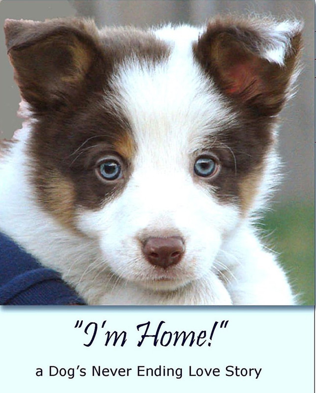 dog-I-m-home
