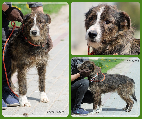 BeFunky-collage (15)