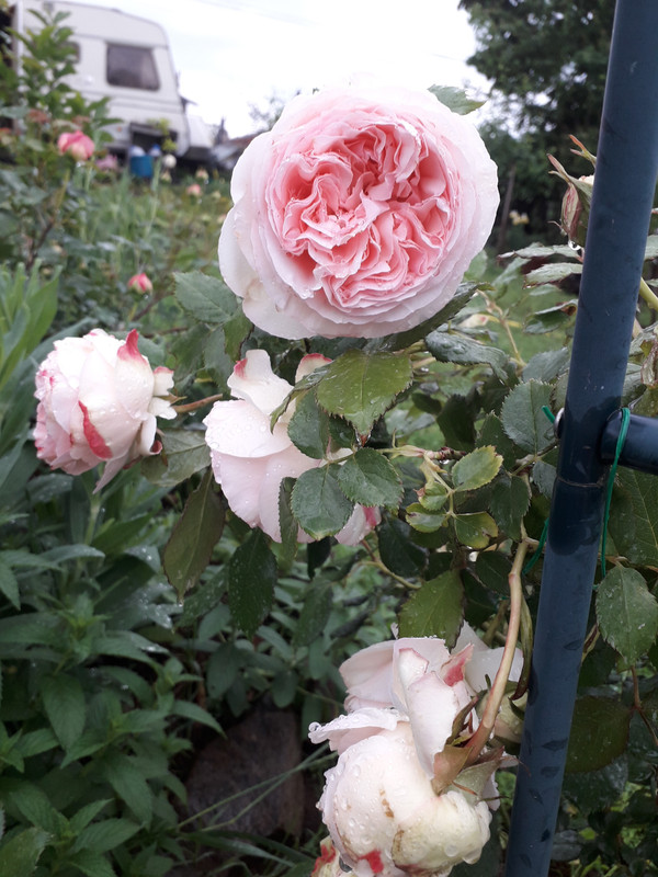 20190524_092352