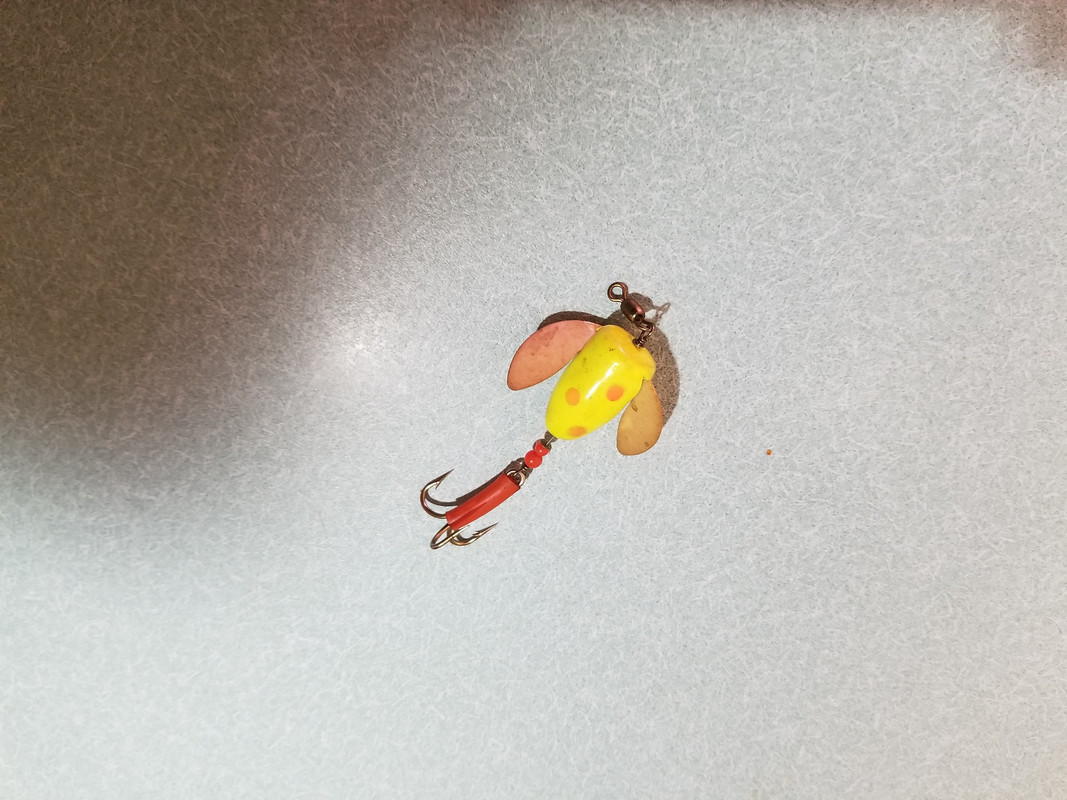 20190515_202607