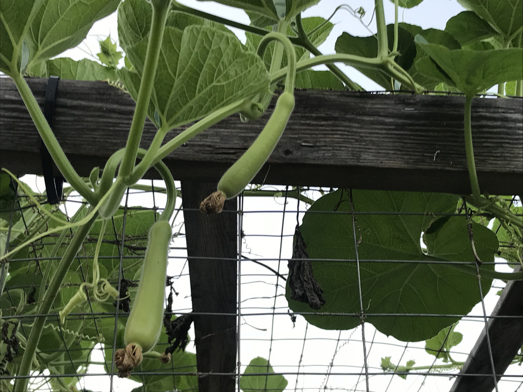 63D37629-253E-4A80-BB2E-594A8776FECB