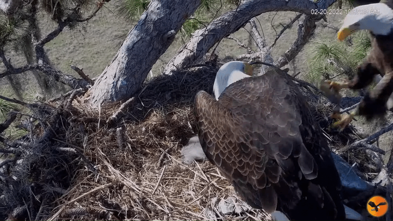 Webp.net-gifmaker (10)