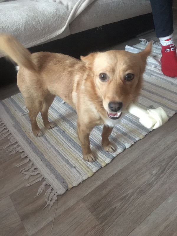 IMG-42f61dd9e58d65eed724121d462e195c-V