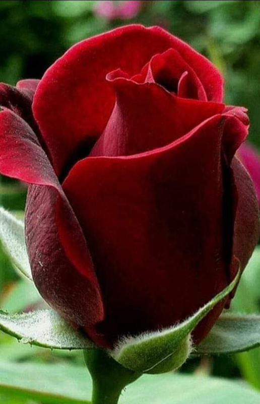 Screenshot_20231106-160217_(1)