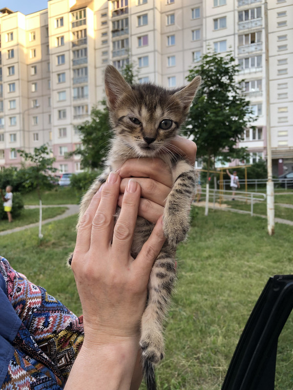 D0EB464D-84F7-4AB0-8FF5-D2759CF7E4A1