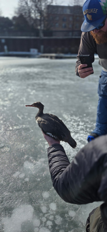 IMG 20260214 131735 (1)