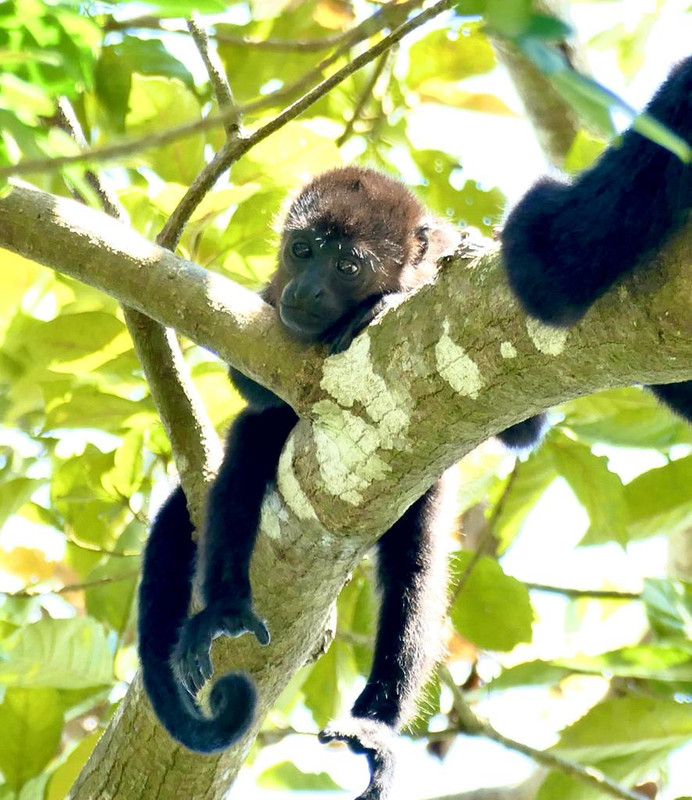 F0CE96E4-3DC7-44EA-A96F-02B40F338271