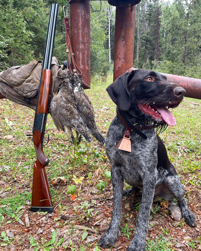 21A489EE-D272-4E8B-B0F4-A3DA3F7A7B19