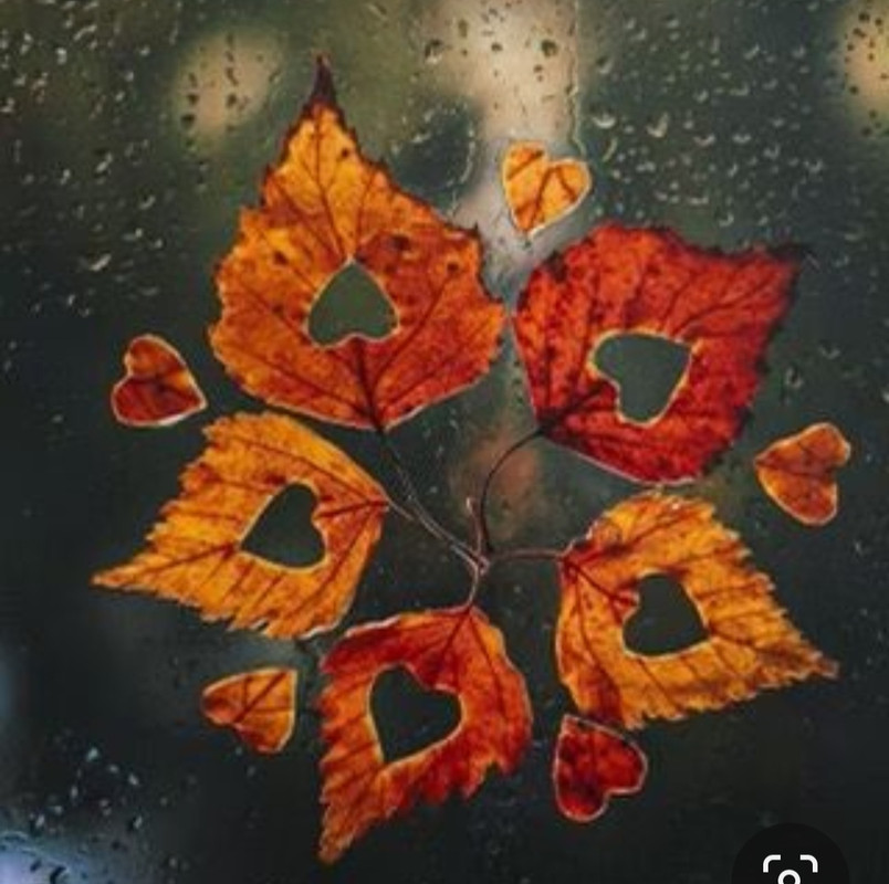 Screenshot_20240214_172805_Pinterest