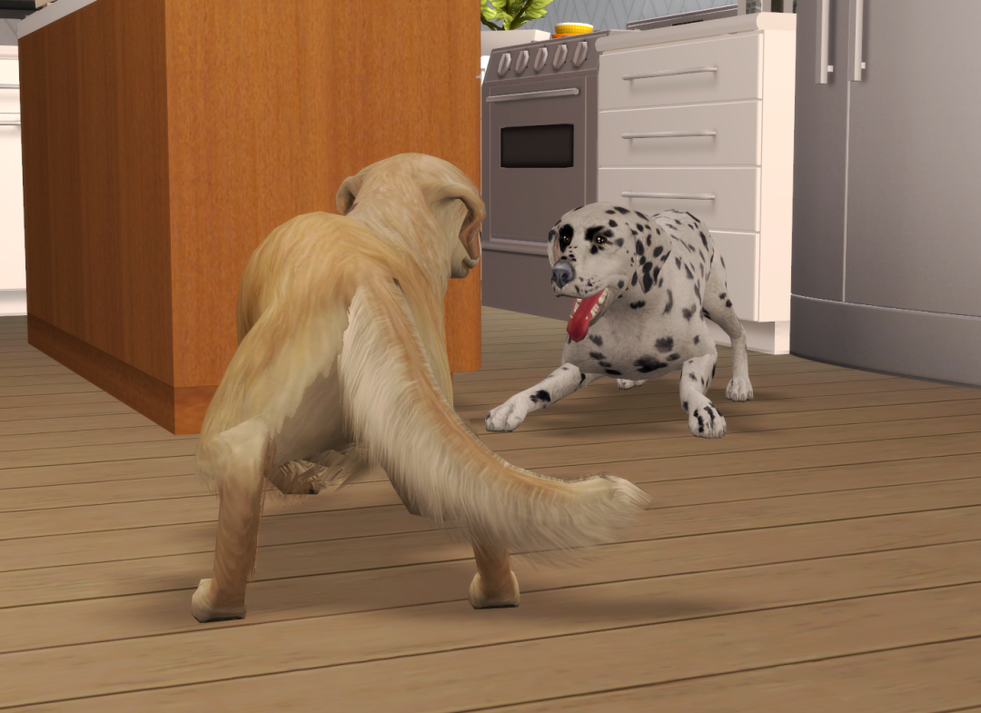 Sims2-EP9-RPC-2025-01-01-13-00-31-29