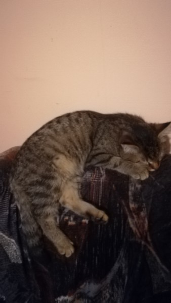 Мишель_19_10_3