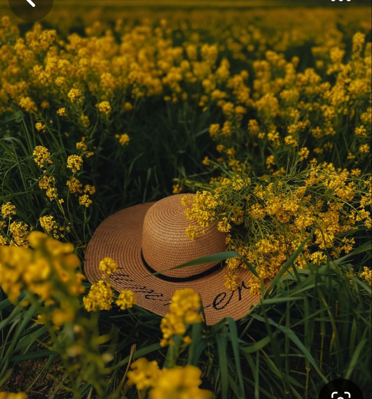 Screenshot_20240609_211212_Pinterest