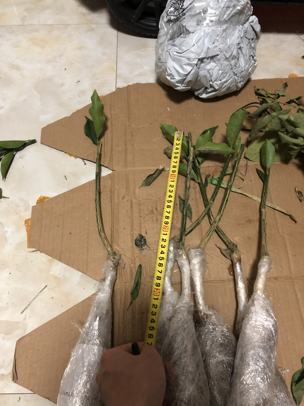 微信图片_20241111013949