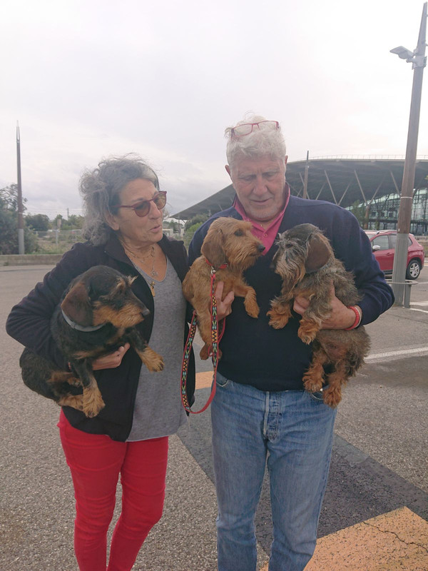 [Image: IMG-20241007-212824.jpg]