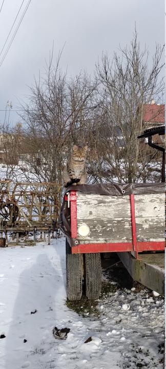 IMG 480f5bb00e4981e6da28e138c3c4e8b0 V