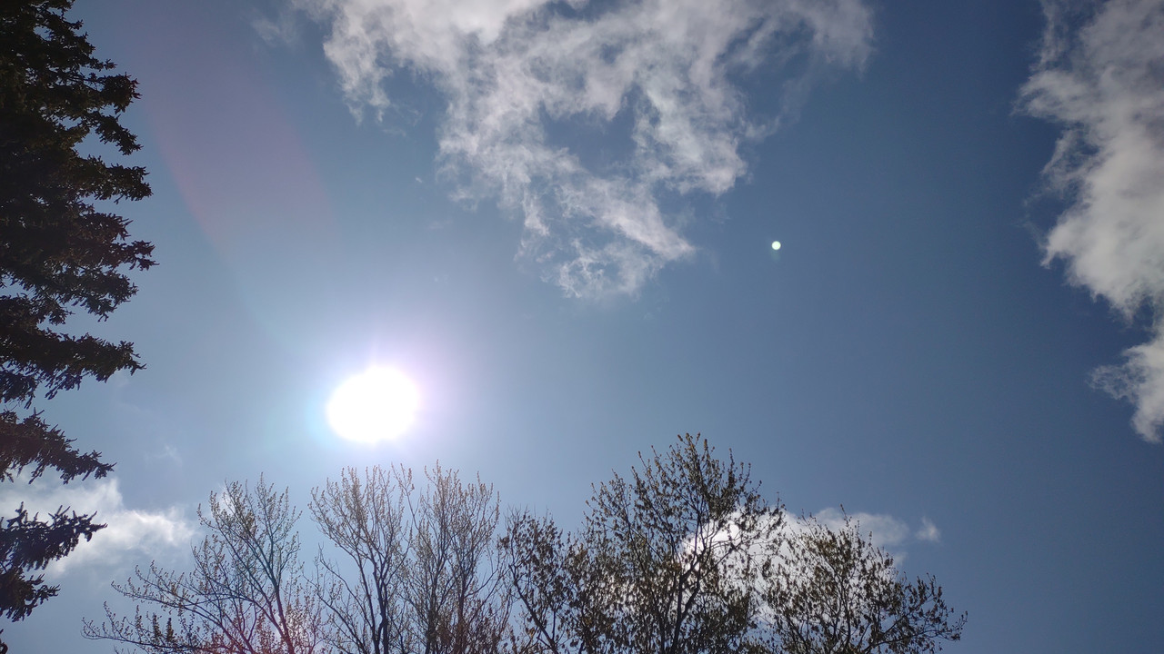 IMG_20250502_111644033