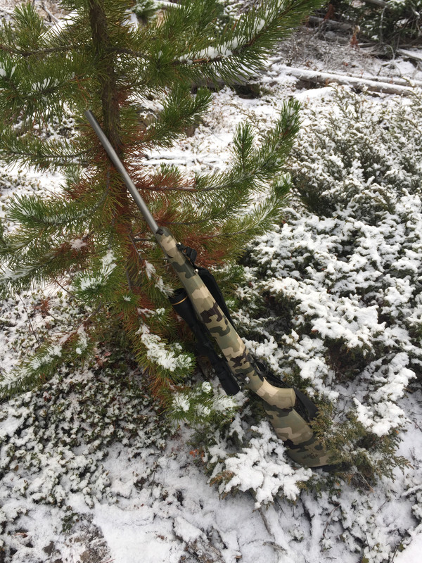 FC81DDB5-6100-4604-9CE0-57A32E798F8C