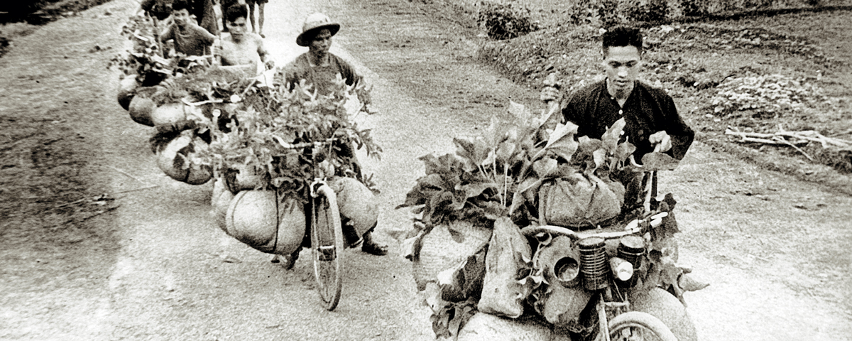 BIKE-01.jpg