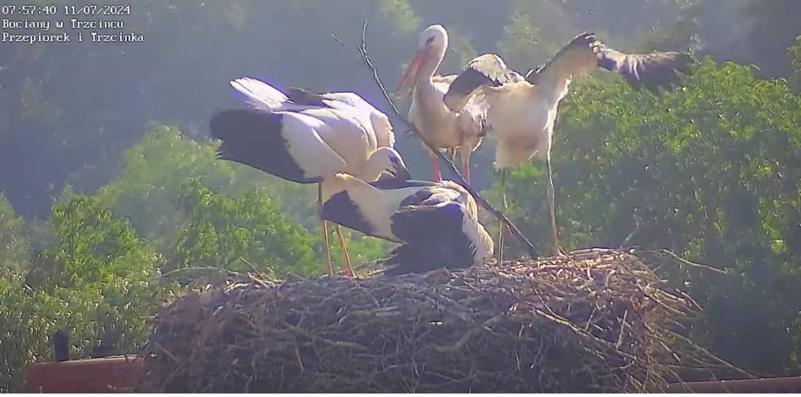 ludziekochanizobaczciebadyl