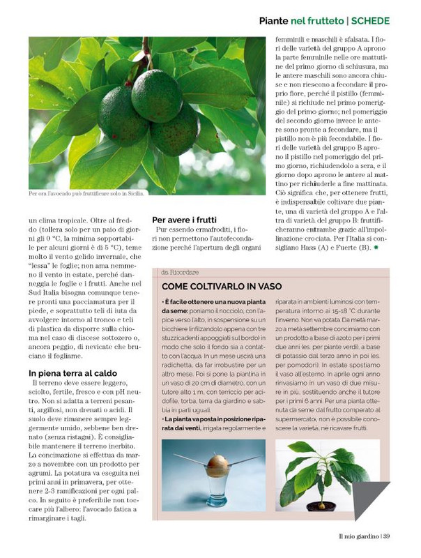 Il Mio Giar GIu-Lug 2023 (12)