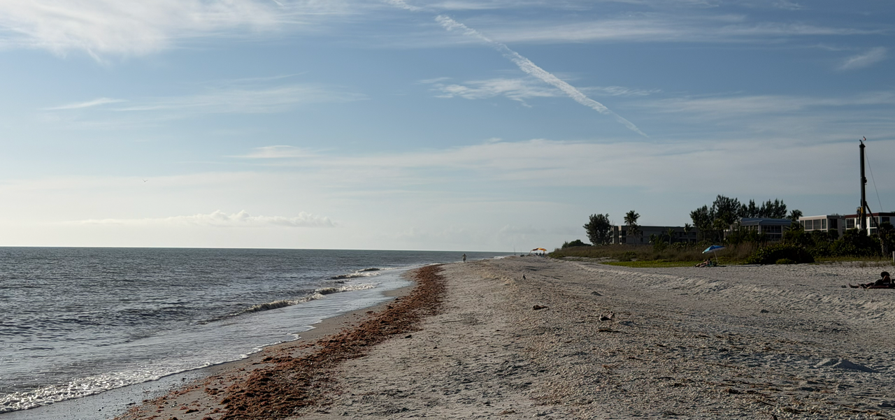 [Image: Sanibel-Island15.png]