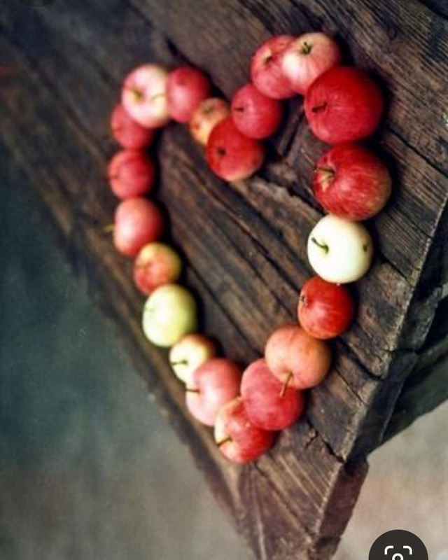 Screenshot_20240214_174601_Pinterest