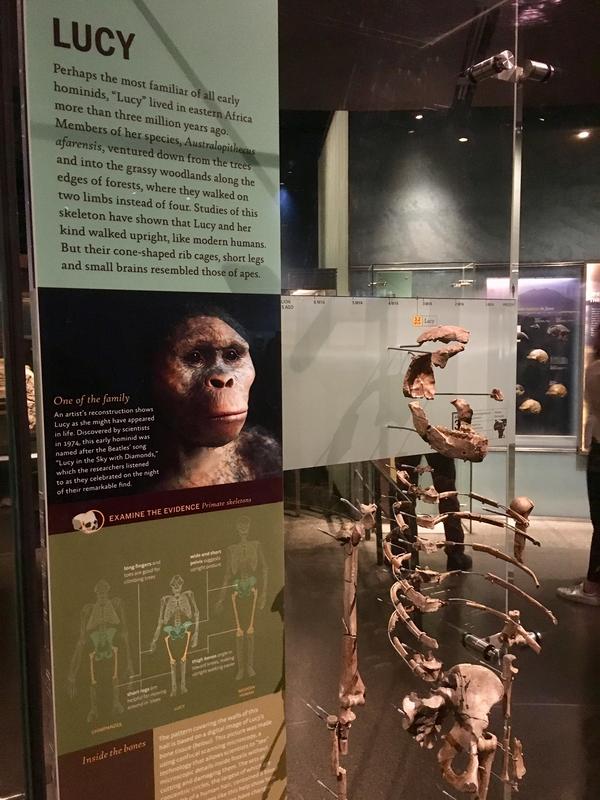 3116570E-3C22-4012-B09C-8337A7C6C279