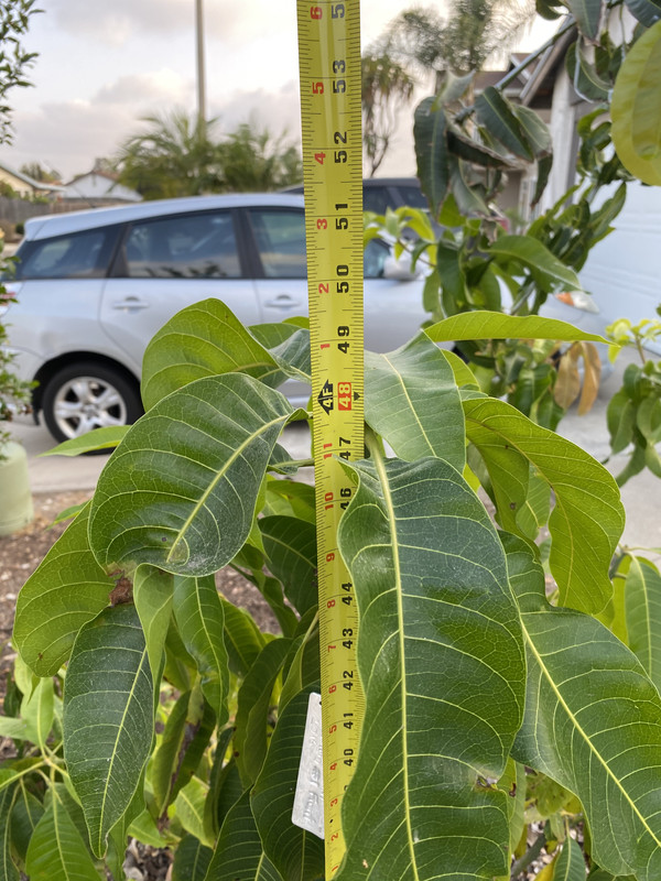 4A885286-774C-4C84-BE9C-3C748C857CD8