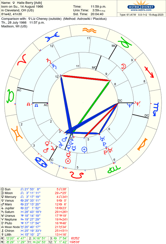 astro_61atw_halle_berry_adb_liz_cheney.82786.3017928