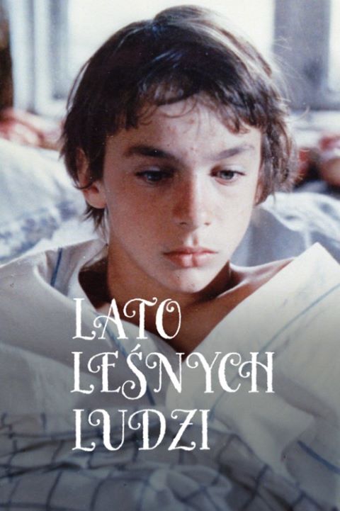 Lato leśnych ludzi (1984) (Sezon 1) (Rekonstrukcja Cyfrowa) 1080p.WEB-DL.H264-AS76-FT / Serial Polski