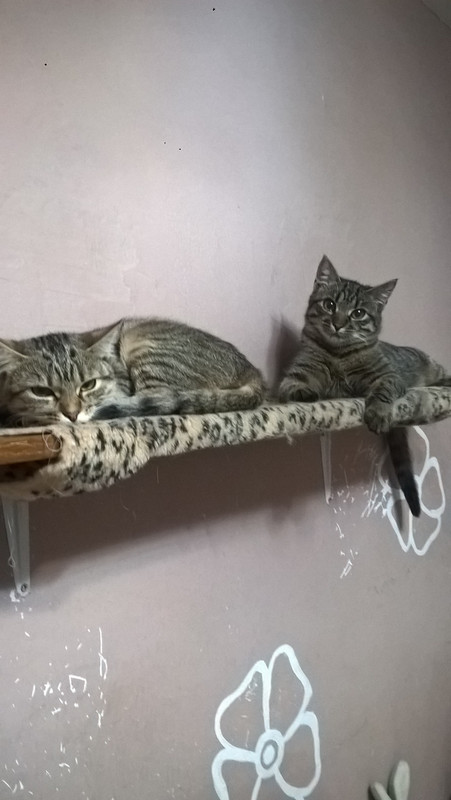 WP_20181023_00_01_34_Pro