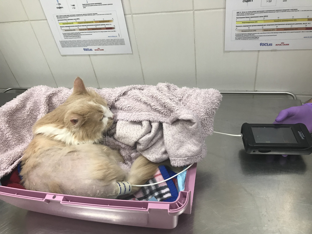 9C571DF9-A0CD-4CDA-A377-996D9D984074