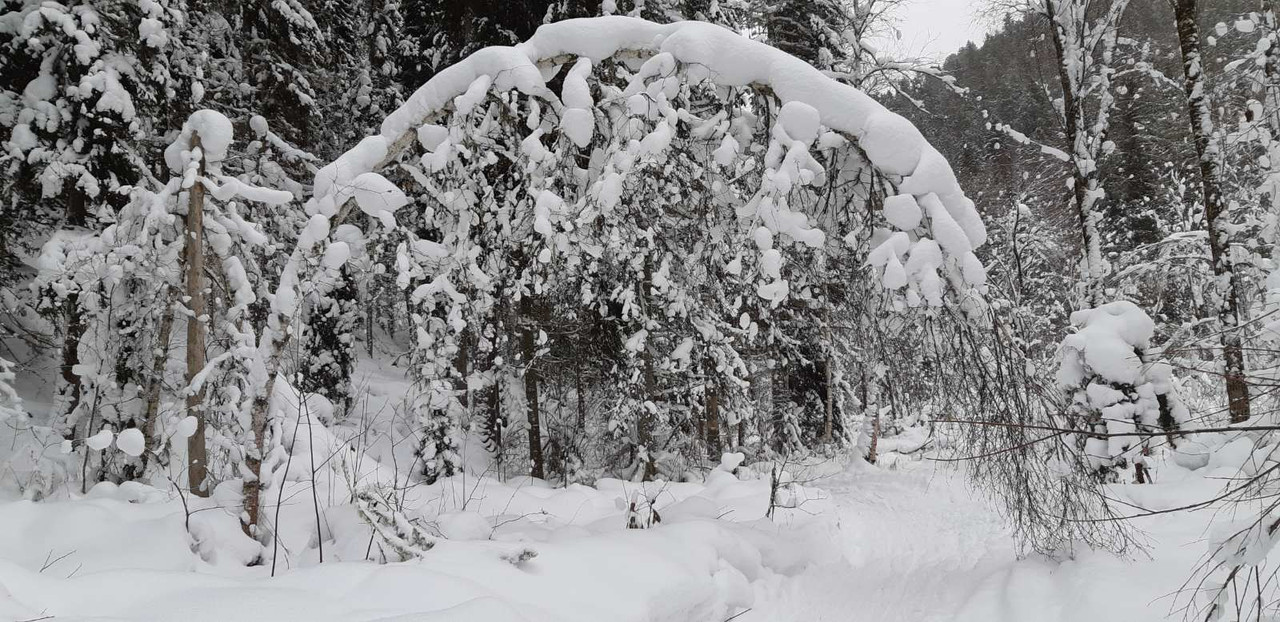 IMG-7678725bfebdceea234669ae96055ddc-V