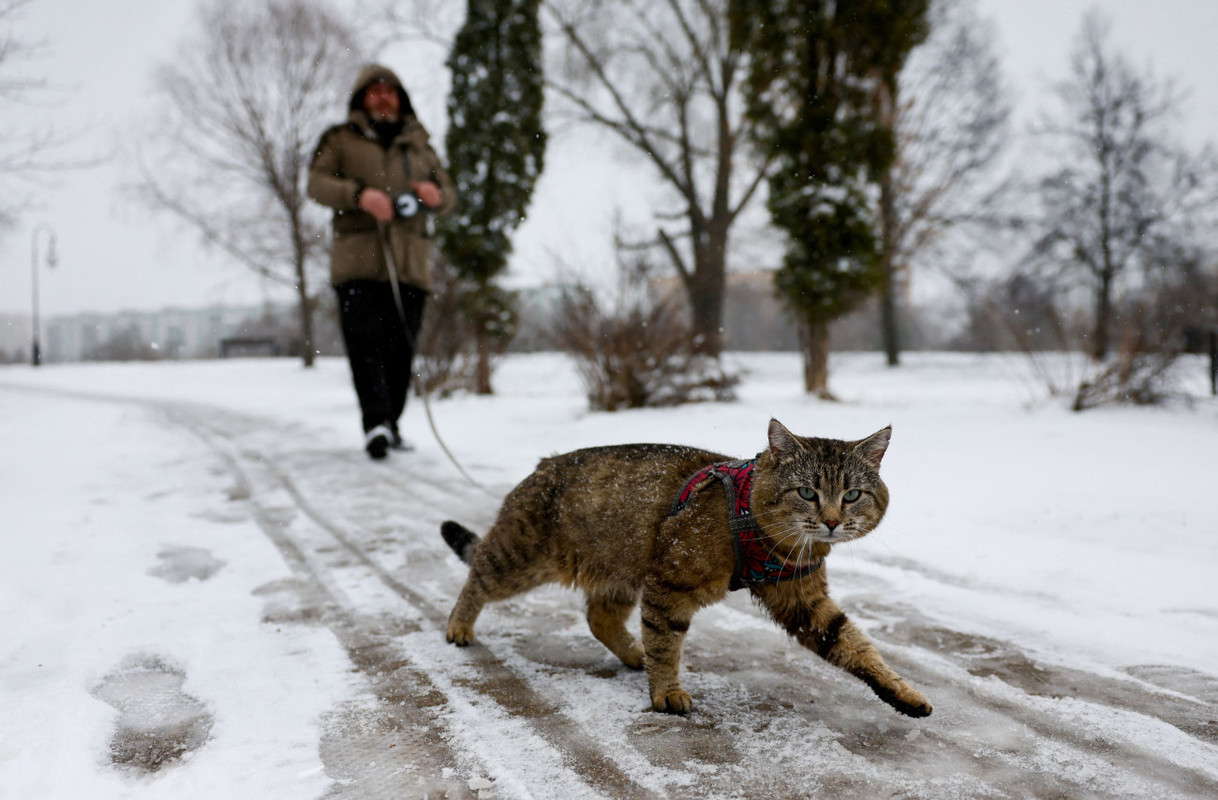 2025-04-06T105503Z_508369345_RC29SDAW1MYW_RTRMADP_5_RUSSIA-WEATHER