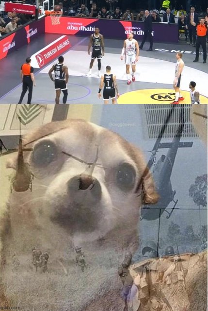 9lvd8t.jpg