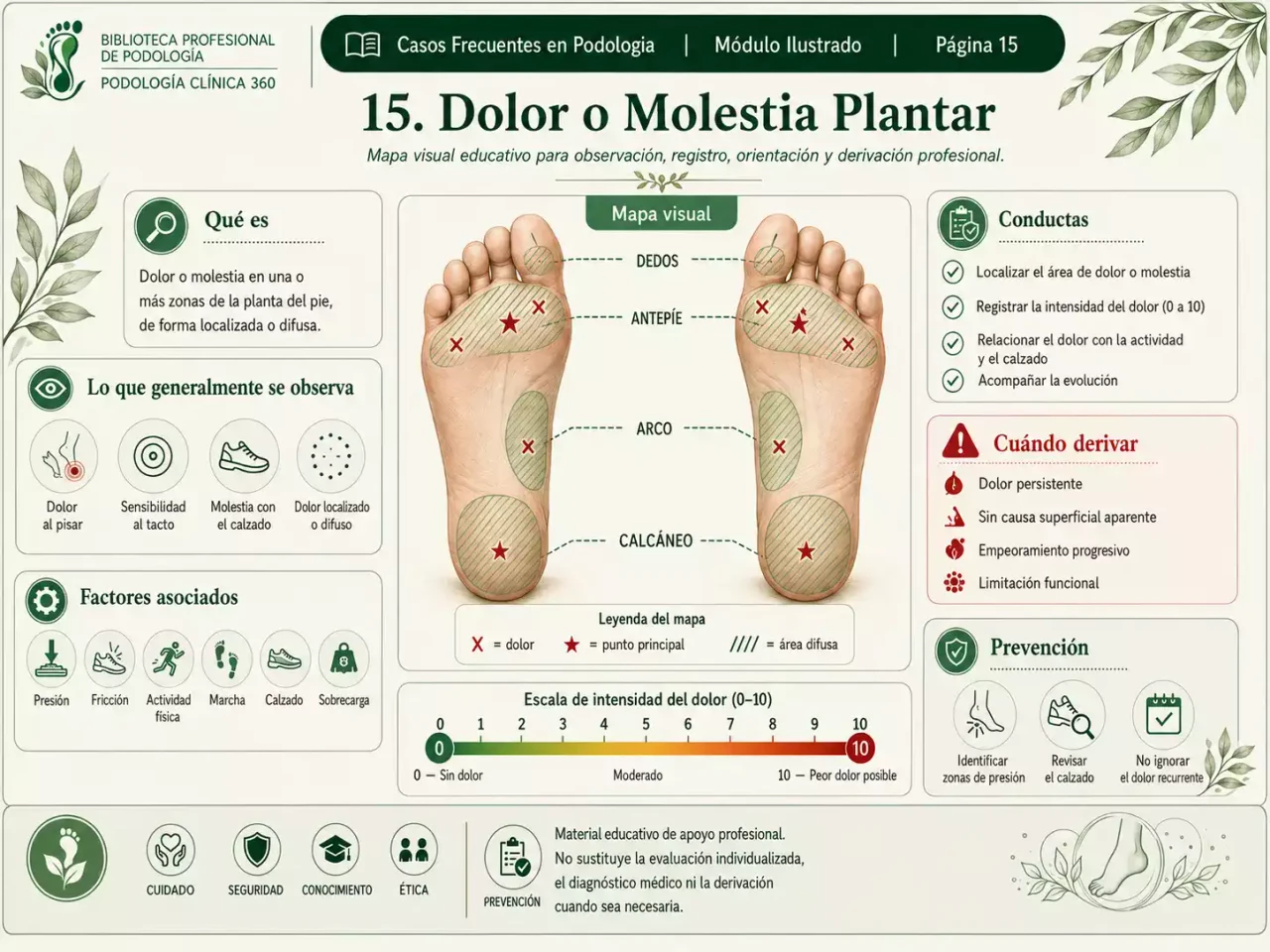 Registro de evolución
