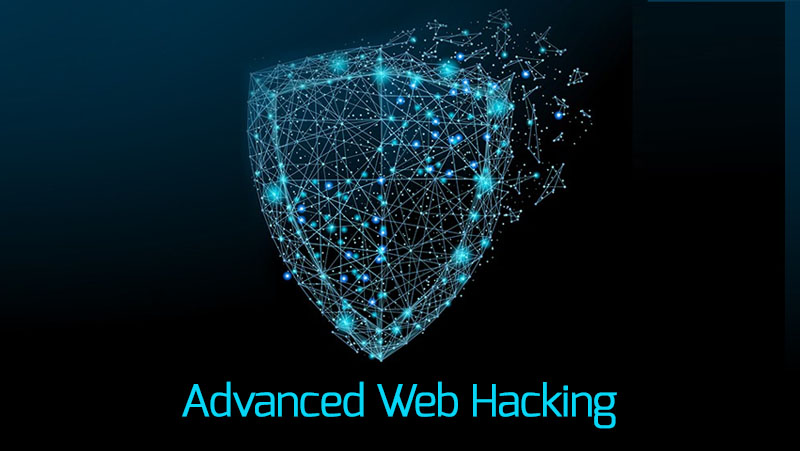 Advance Web hacking tools