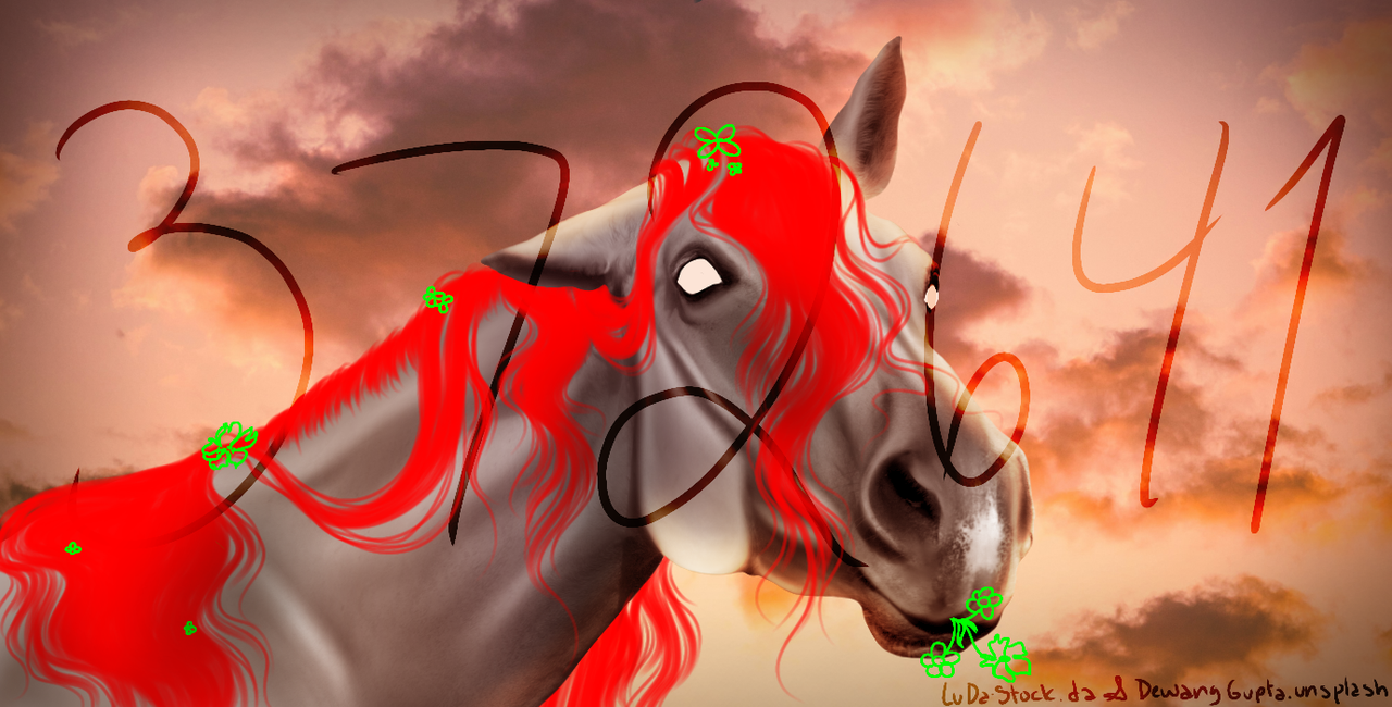 YHHStabl-Set-Sunset.png