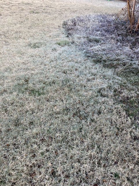 [Image: 5-A23-DAEC-E0-C0-4-D7-F-BEA0-85967-C2-F45-B2.jpg]