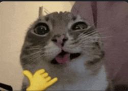 PNG